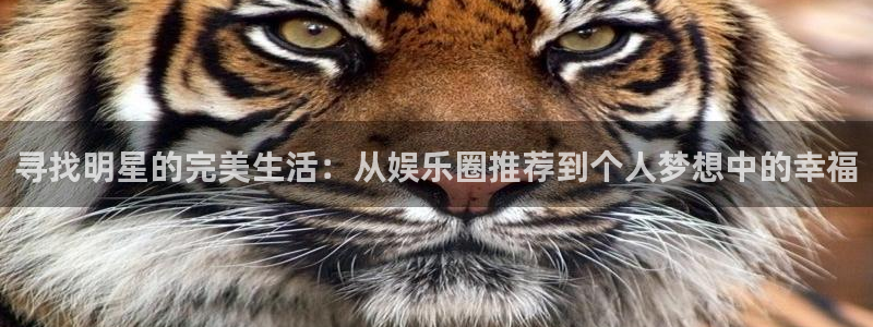 AB娱乐：寻找明星的完美生活：从娱乐圈推荐到个人梦想中的幸福