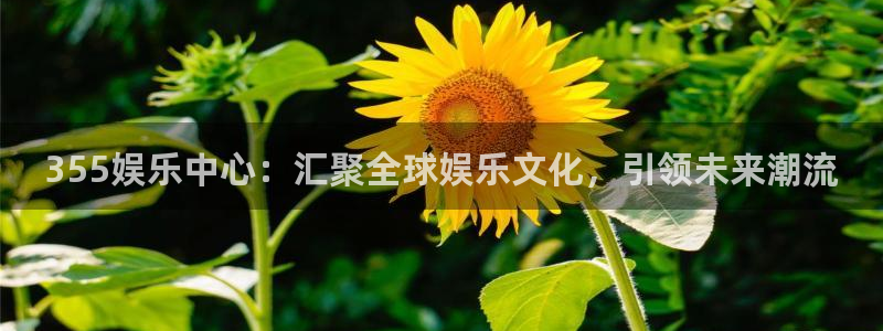 upload/20250701114914.jpg